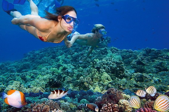 Hamata Inseln bei Marsa Alam mit unberührter Natur zum Schnorcheln