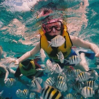 Sharm el Naga snorkeling dagexcursie