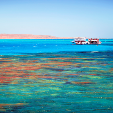 Orange Baai Eiland Snorkeling Excursie