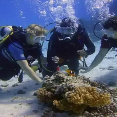 Duiken in Marsa Alam (vanaf het strand)